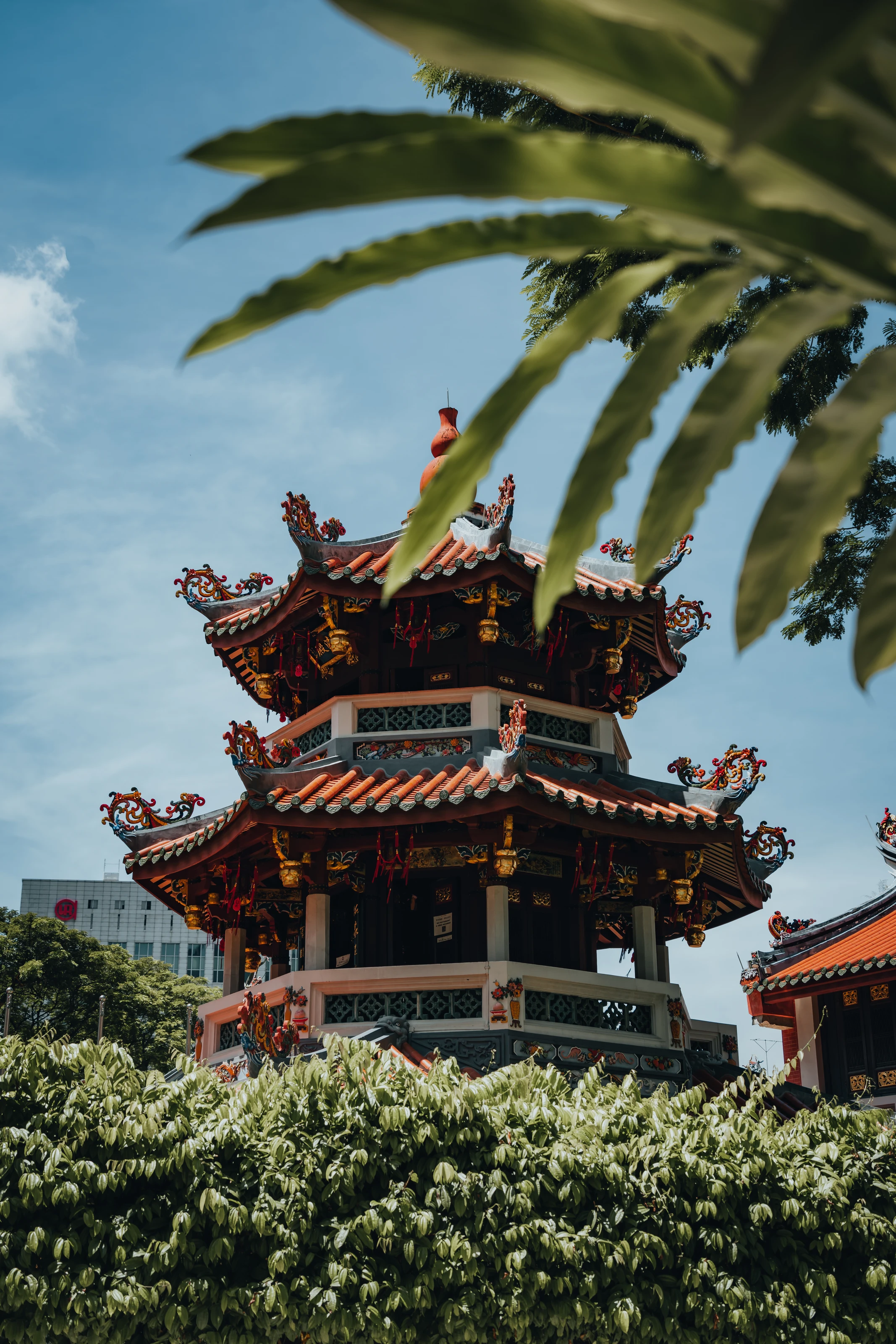 china6