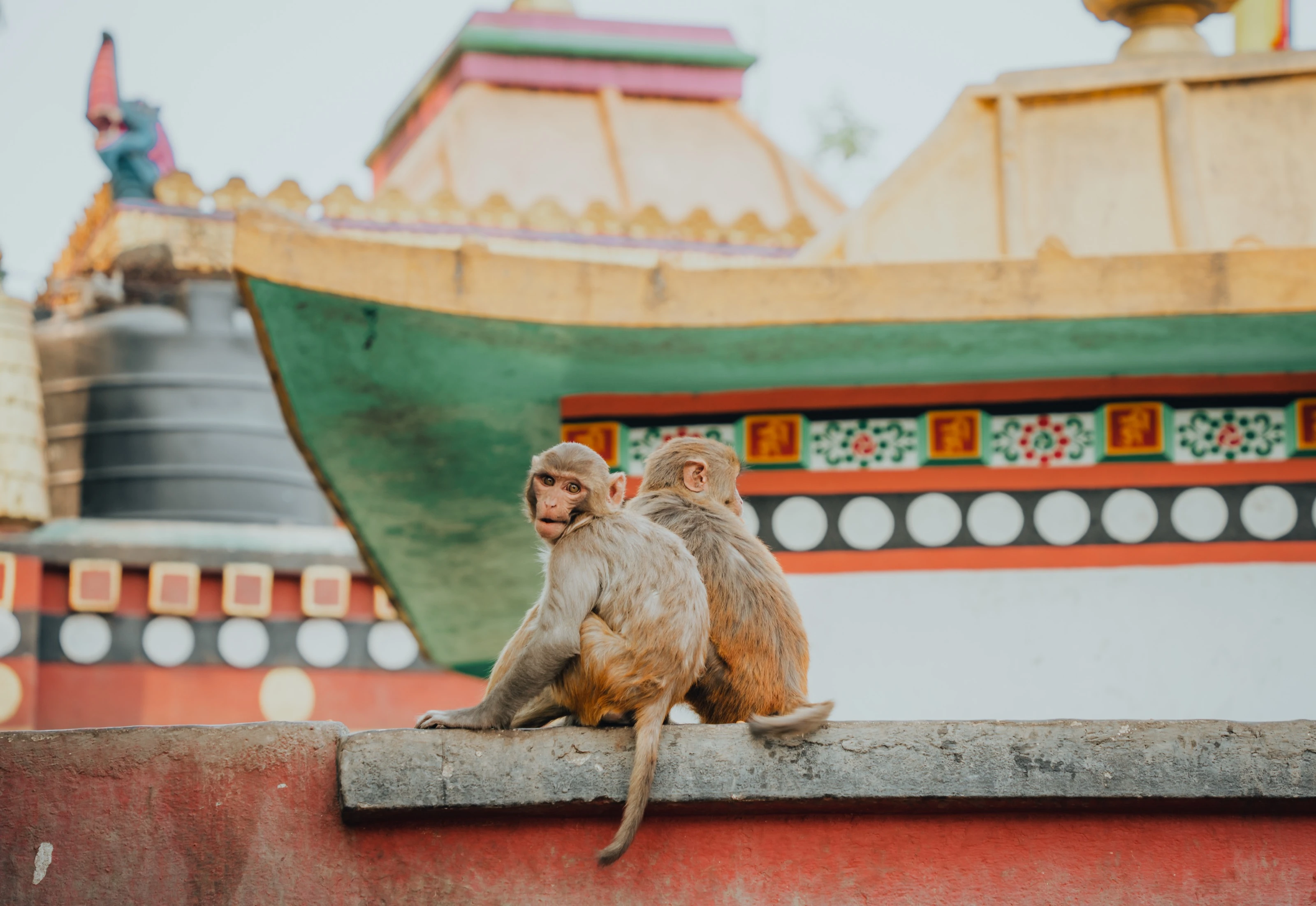 nepal-R8 2